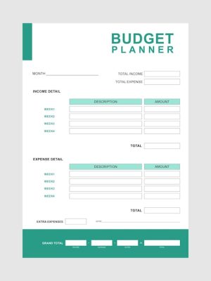 clear-simple-way-budget_52664-2782